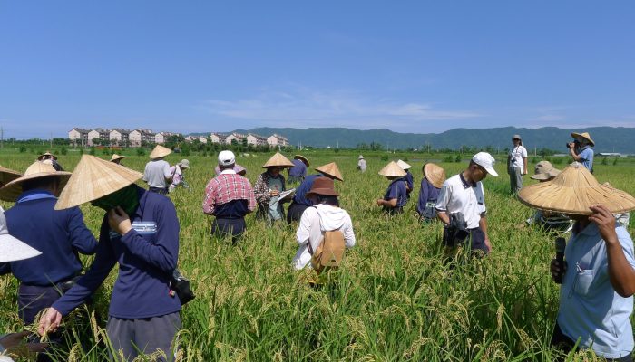 Bio-tour-Ecological agriculture, Zero Waste and Culture10